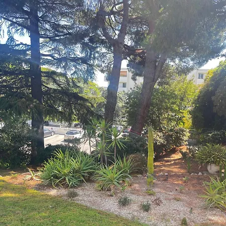 Comme A La Maison